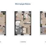 Wolderburght - Baljuw - foto 6