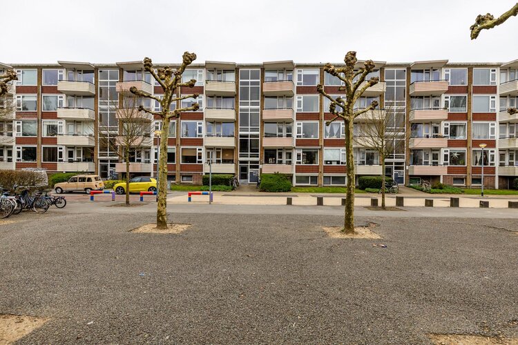 Adriaan van Ostadestraat 67 - foto 7