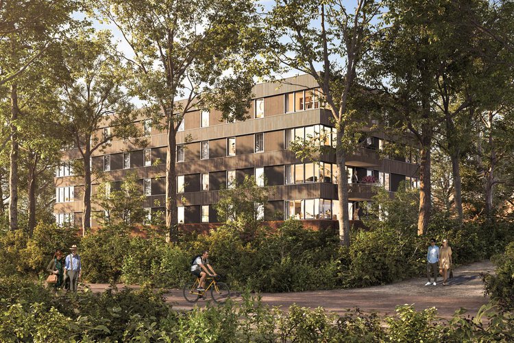 Zeker Zuid - foto 3