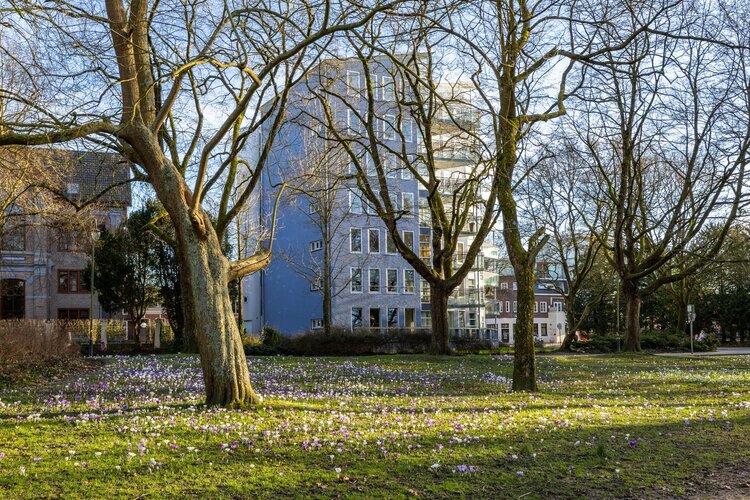 Noorderbinnensingel 11 1 - foto 8
