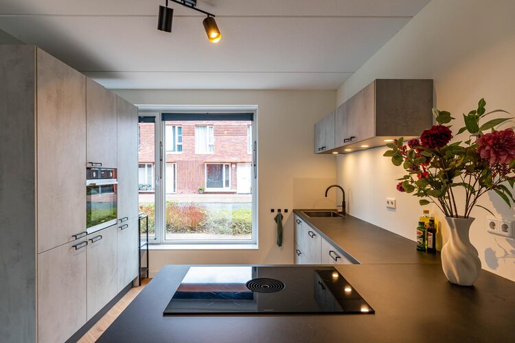 Hooglander 23 - foto 3